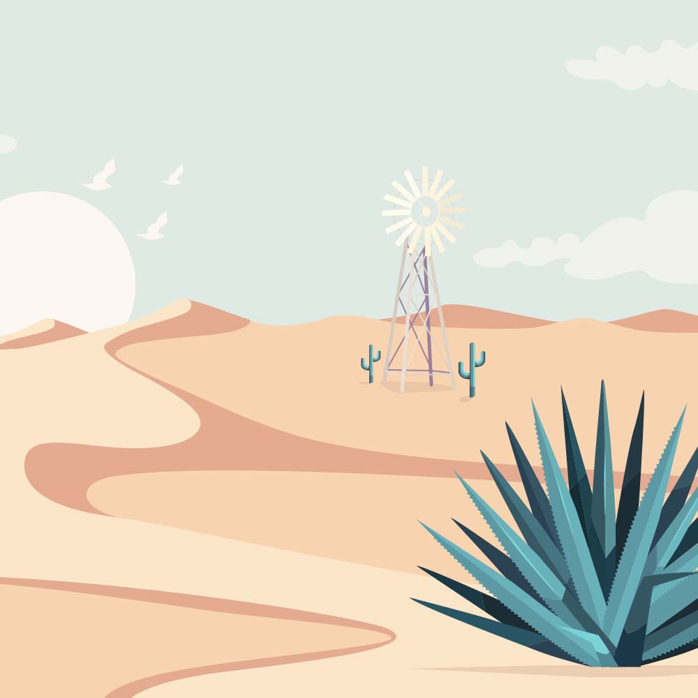 The Rarest of the Rare Agave Spirits