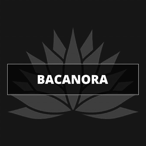 Browse Bacanora