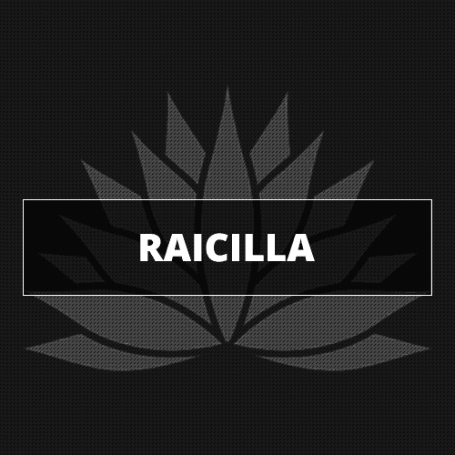 Browse Raicilla