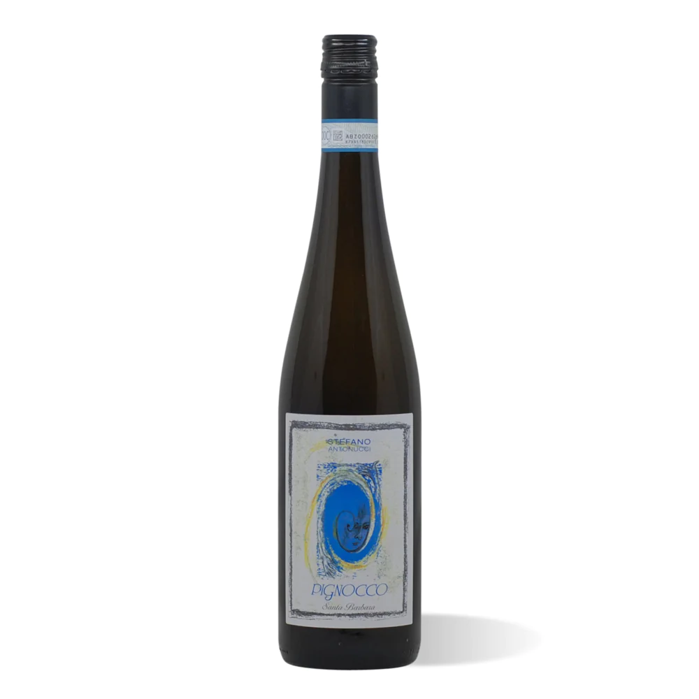 Azienda Santa Barbara Verdicchio dei Castelli di Jesi Stefano Antonucci Pignocco