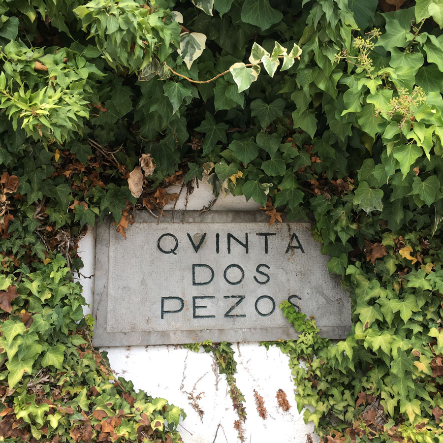 Pre-order: Quinta dos Pesos Carcavelos 5 Vintages (One bottle each of 1992, 1996, 1997, 1998, 1999) , 500 mL)